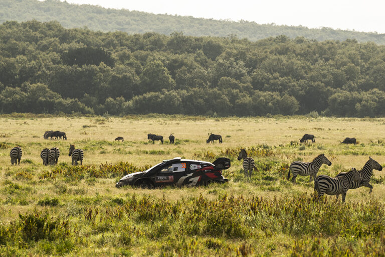 Elfyn Evans